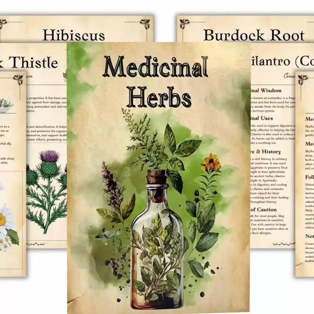 Herbal Wellness For You - Medicinale kruiden: Visuele gids voor het