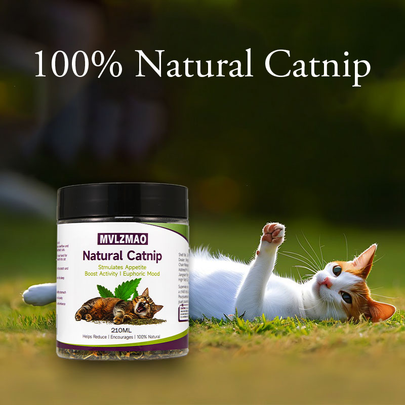Kattenspeelgoed - Silvervine k - Herbal Wellness Products recensie en prijs