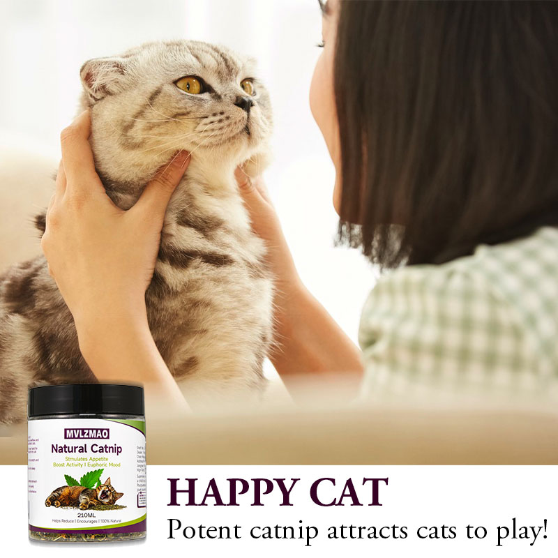 Kattenspeelgoed - Silvervine k - Herbal Wellness Products recensie en prijs